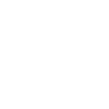 Seguro Seguro